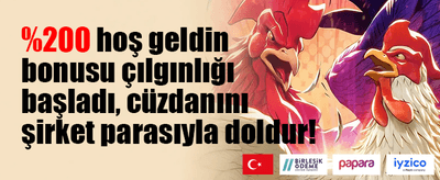 Popüler Slotlarda Ücretsiz Spin promotion banner